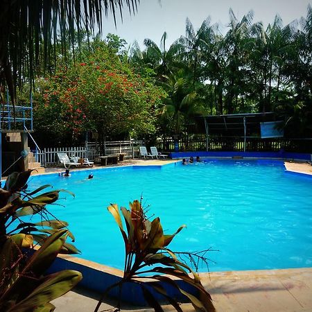 Villa Hermosa De Tambopata Casa Hospedaje & Hostel Puerto Maldonado Exteriér fotografie