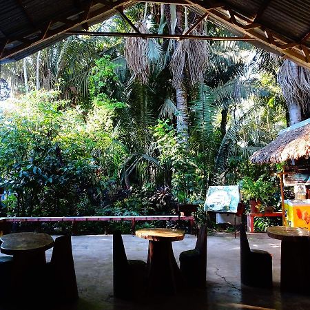 Villa Hermosa De Tambopata Casa Hospedaje & Hostel Puerto Maldonado Exteriér fotografie