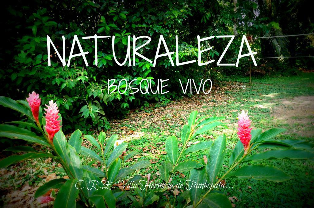 Villa Hermosa De Tambopata Casa Hospedaje & Hostel Puerto Maldonado Exteriér fotografie