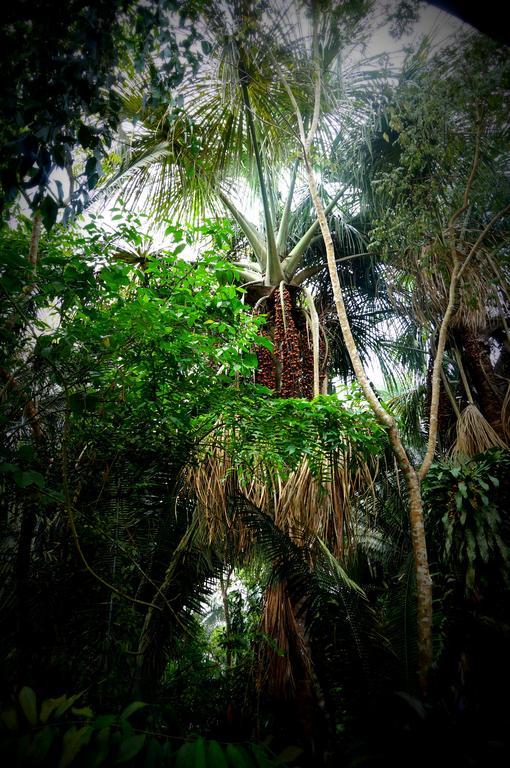 Villa Hermosa De Tambopata Casa Hospedaje & Hostel Puerto Maldonado Exteriér fotografie