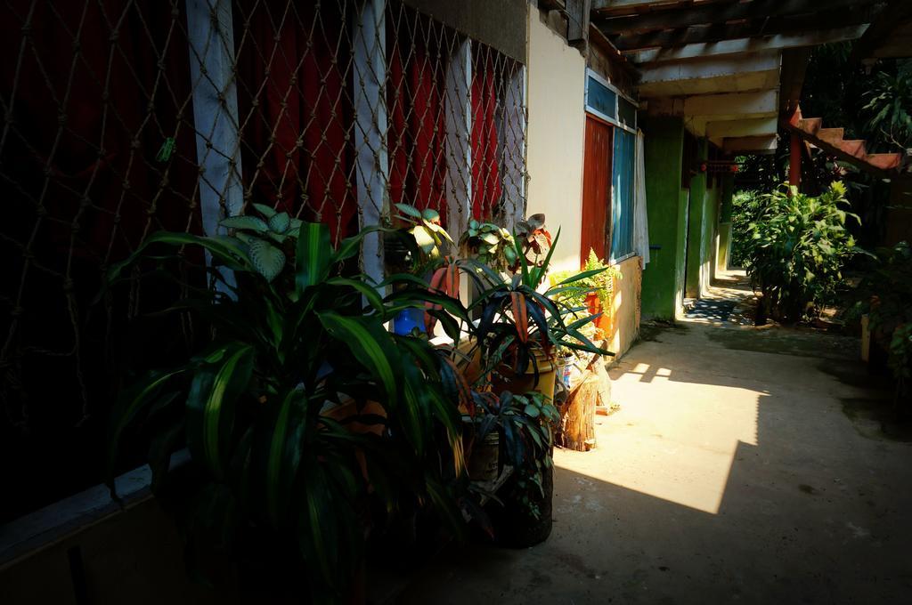 Villa Hermosa De Tambopata Casa Hospedaje & Hostel Puerto Maldonado Exteriér fotografie