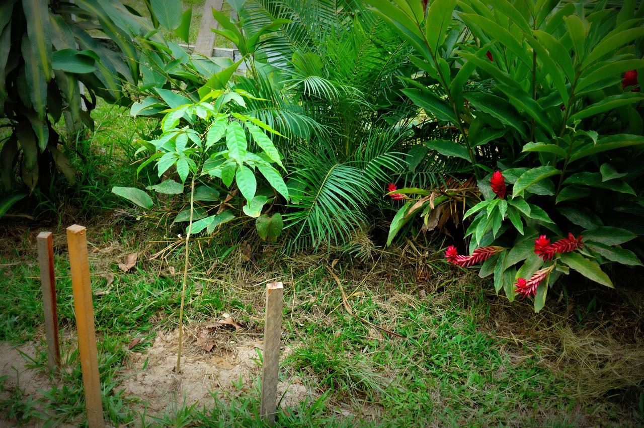 Villa Hermosa De Tambopata Casa Hospedaje & Hostel Puerto Maldonado Exteriér fotografie